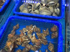 -必点海鲜·鲅鱼水饺(鞍山西道店)