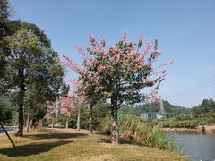 -中国移动南方基地