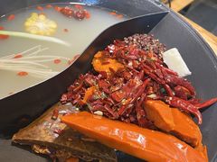 -阳阳老火锅(小南门店)
