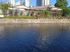 -石炮台公园