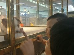 -乐宠宠物店(世纪金源店)