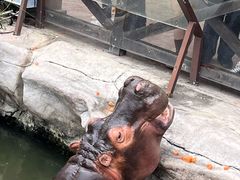 -灵玲国际马戏城