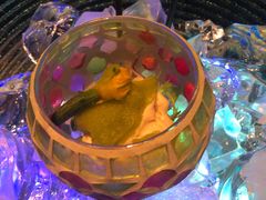 -地球美食剧场