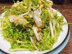 凉拌苦菊-郑庄脂渣海鲜楼(九水路店)