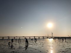 -南汇新城海滩