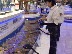 -澜悦港海鲜体验主题餐厅