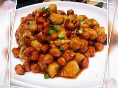 宫保鸡丁-褚记北京烤鸭(广州路店)