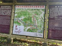 -三块石国家森林公园