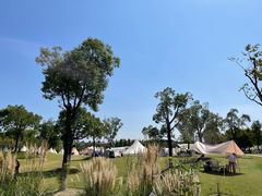 -上海长兴岛郊野公园