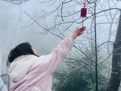 -江西阳明山国家森林公园