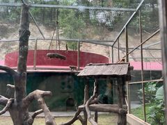 -深圳野生动物园