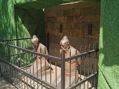 -岳王庙