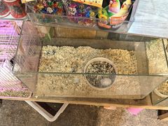 -双季花艺园艺市场(浦东店)