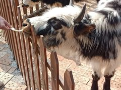 -渭南桃花源民俗文化园