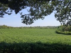 -敬亭山风景名胜区