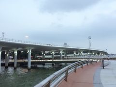 -演武大桥观景平台