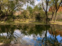 -上海共青森林公园