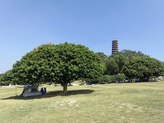 -红花山公园