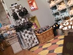 android_upload_pic-济州岛泰迪熊博物馆