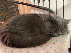 -Rabbit Cafe私房西餐甜点咖啡(栖霞路店)