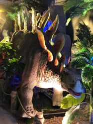 -恐龙探索乐园(磁器口店)