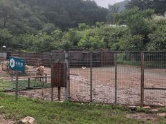 -北京山里寒舍度假酒店