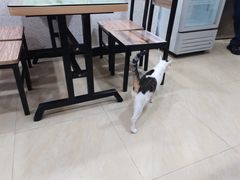 -玉椰林甜品店(创始店)