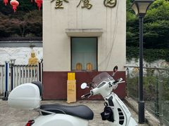 -大金鹰园