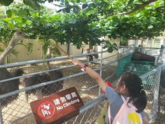 -三亚亚龙湾天域度假酒店