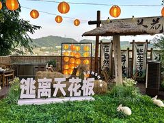 -伴山茶苑·围炉煮茶