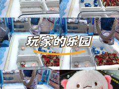 -汤姆熊欢乐世界(罗斯福店)