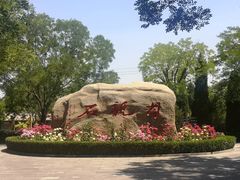 -大槐树寻根祭祖园
