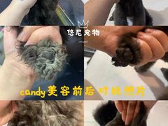 -悠尼宠物·独立低压伊珊娜洗护·美容·寄养(兰谷路店)