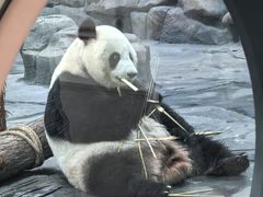 -秦皇岛野生动物园