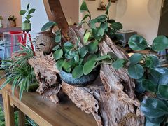 -茶油香闽南菜·花园餐厅(前埔店)