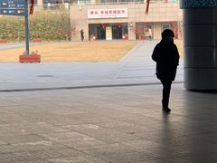 -下沉广场(羊坊店街道)