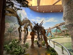 -延庆地质公园博物馆