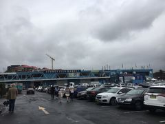 -悉尼鱼市场