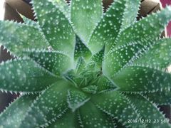 -海底捞火锅(大融城店)