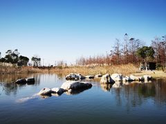 -春花秋色城市公园