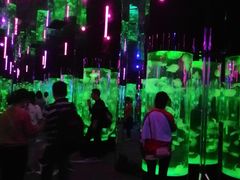 -成都浩海立方海洋公园