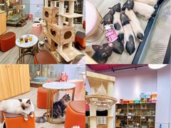 零售区-猪盟咖啡店(玖洲道店)