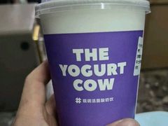 -一只酸奶牛(春熙路店)