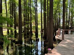 -东湖落雁景区