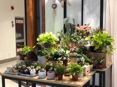 -The Green Party(嘉里中心店)
