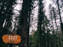 -硗碛藏寨·神木垒景区