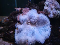 -邯郸海洋世界