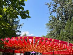 -大槐树寻根祭祖园