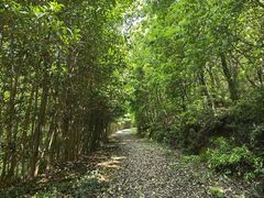 -平湖九龙山旅游度假区