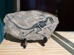 -湖南省地质博物馆